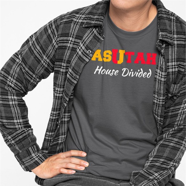 Asutah House Divided Cap Dark HeatherUniformity Cole Streeper