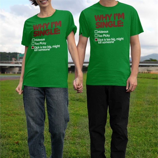 Shirts That Go Hard Why I'm Single Hideous Too Picky Dick Is Too Big Might Kill Someone V Neck T Shirt