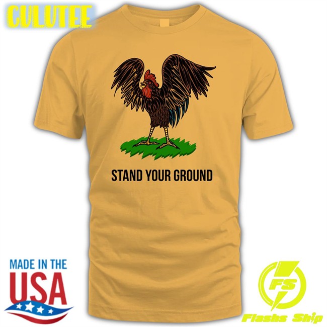 Stand Your Ground Hoodie Tim Pool